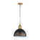 Luminaire suspendu 1 lumière Regena