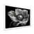 White Single Picture Framed
