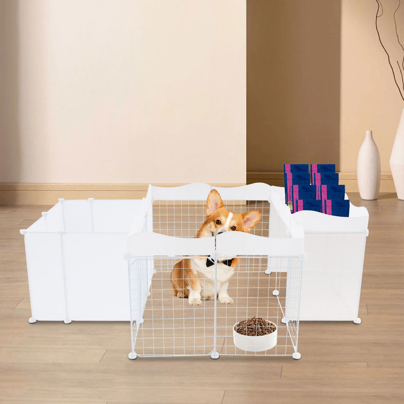 Clôture intérieure pour chiots avec clôture pour petits chiens