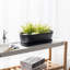 Pot à fleurs 14 po ovale en céramique noir mat - Succulent d'intérieur et pot de fleurs avec trou de drainage et soucoupe amovible