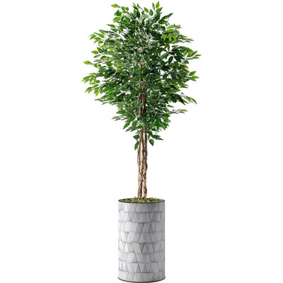 66'' Faux Ficus Plant in Planter