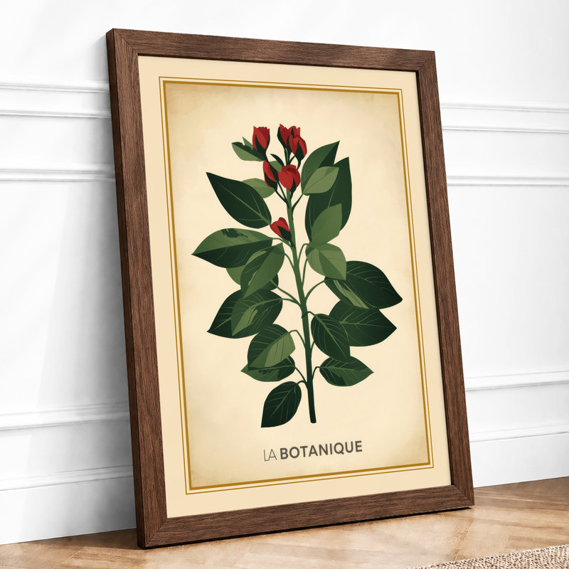 Specimen Botanical - Print, A2 - 59.4 x 42.0 cm, Walnut