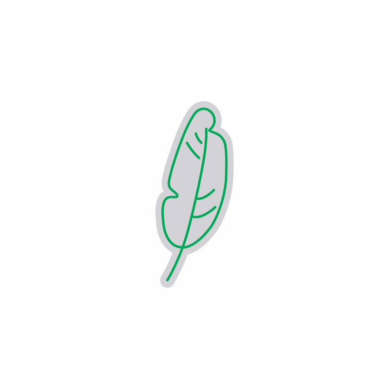  | Enseigne néon plume | Fabriqué avec un tube néon incassable flexible de haute qualité pour une lueur verte éclatante et un éclairage durable | 24 x 10 pouces | Vert