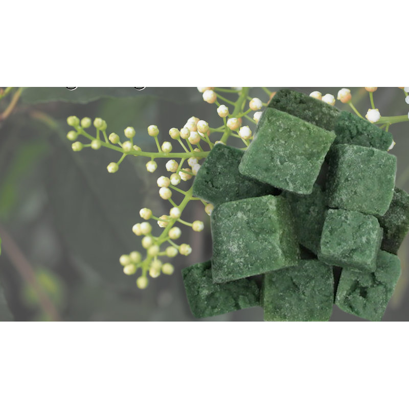 Cire de parfum bayberry