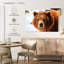Regard d'ours grizzly-107703630