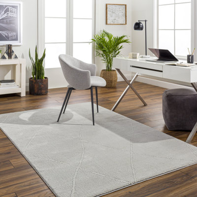 Tapis argenté Chambersville