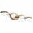 Brass n'est pas disponible