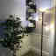 Customer photo 3 of 3
