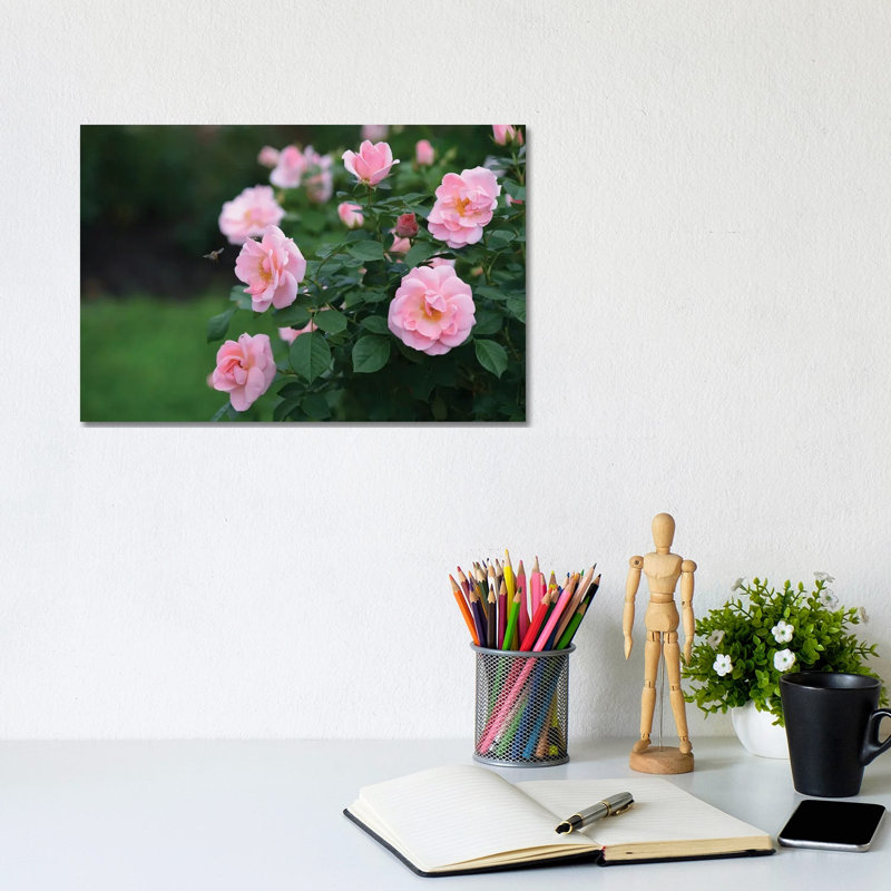 Garden of Blooming Roses I 1 Piece Wrapped Canvas Wall Art, 20.32 cm H x 30.48 cm W