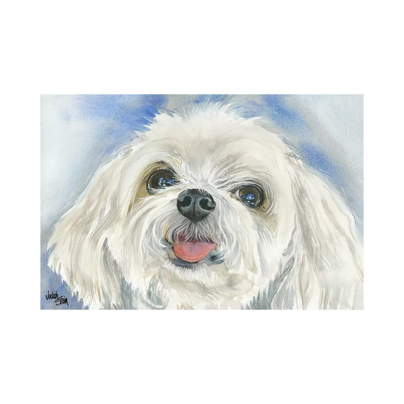 Matisse - Maltese by Judith Stein - Painting on Canvas, 30.48cm H x 45.72cm W x 1.9cm D, Wrapped Canvas