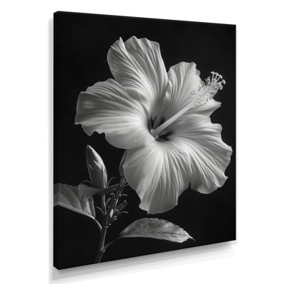  «Gray Crystal Black Hibiscus Botanical Beauty - Hibiscus, reproduction d'art murale
