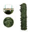Trucksville Privacy Fencing Hedge-324840238