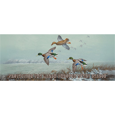 Trouver de l'eau libre, panneau de 30 x 76 cm, Protection des marais