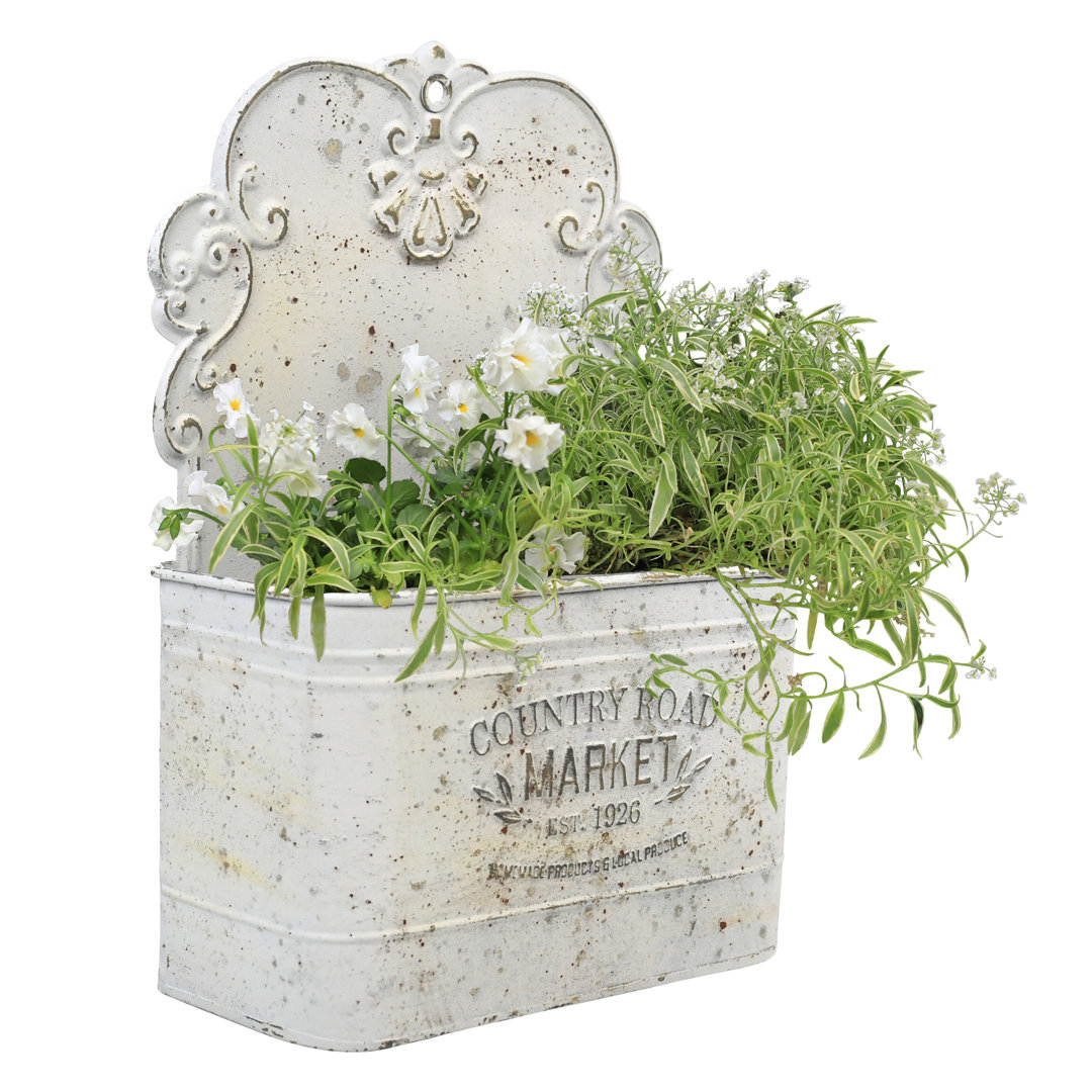 Romsey Vintage Metal Wall Planter for Outdoor/Indoor Plants  East Urban Home 