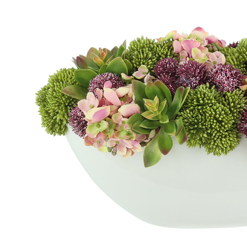 Hortensia, plantes grasses et pompon dans un pot à fleurs blanc