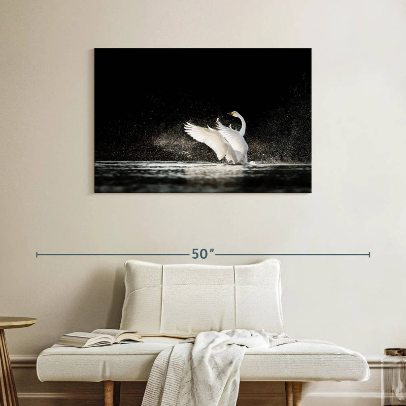 Cygne éclaboussant de l'eau