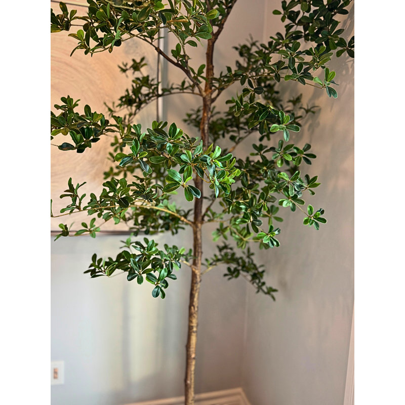 Faux Foliage Tree, 68 (in) x 15 (in)
