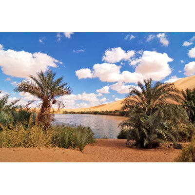 Gaberoun Oasis par Cinoby