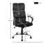 Ahslee Mesh Executive Chair