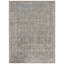 Oriental Area Rug in Gray