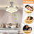 Enry 20'' Ceiling Fan with LED Lights