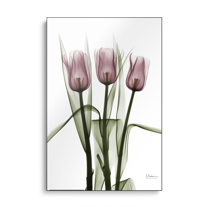 Reproduction d'art mural sur toile en métal Steemplix - Tulipes II par Albert Koetsier