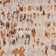 Pypper Hand Tufted Abstract Indoor Rug