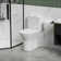 Advanced Dual-Flush Toilet with Comfort Seat and Efficient Flushing System