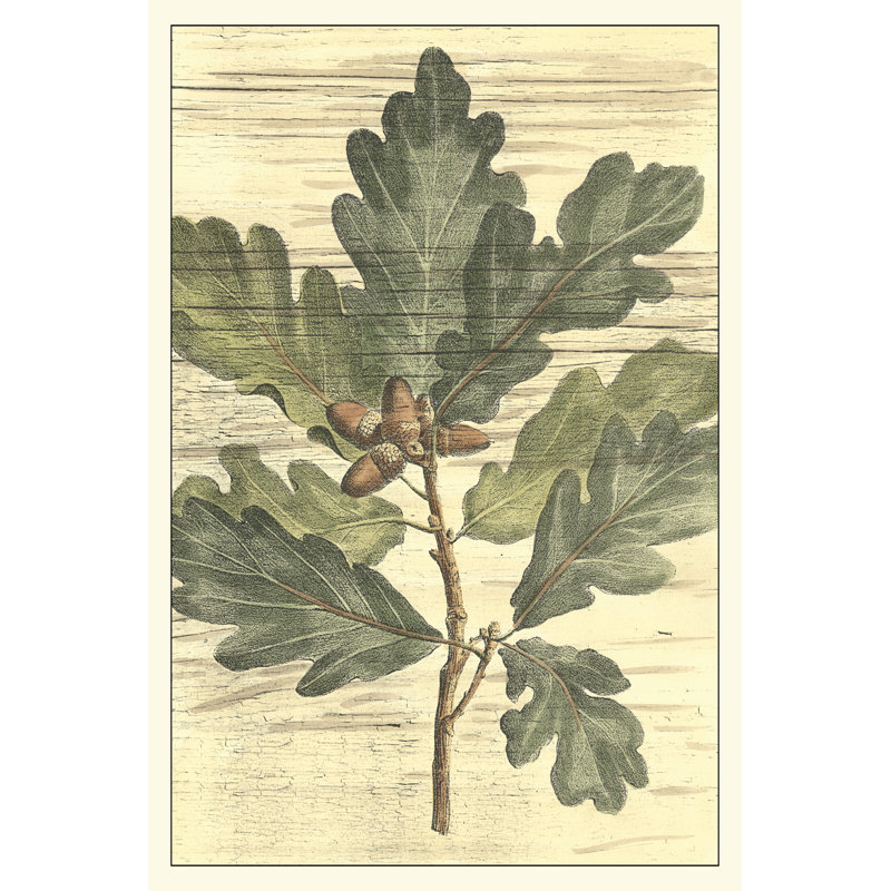 Weathered Oak Leaves I by Gerard Paul DeShayes - Wrapped Canvas Painting, 46cm H x 30cm W x 3.8cm D
