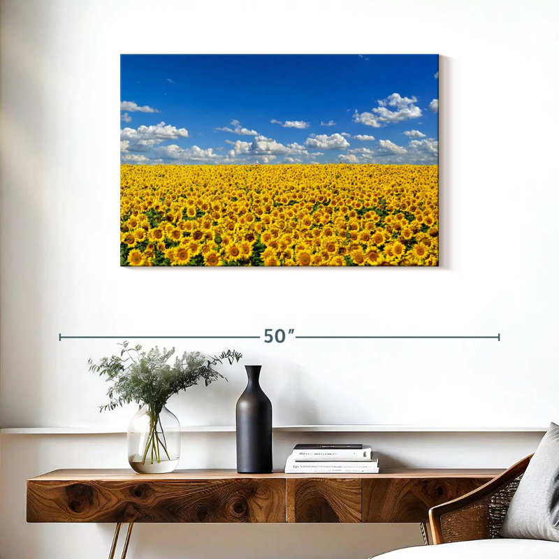 Grand champ de tournesols Alvord, H 24 po x l 36 po