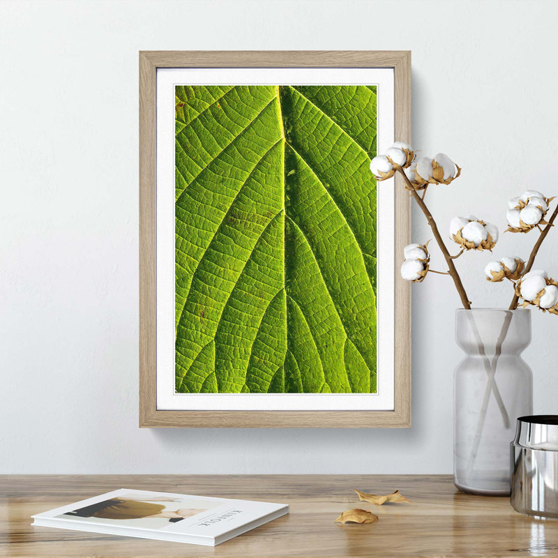 Leaf Pathways - Picture Frame Painting Print, 36cm H x 27cm W x 2cm D, Oak Framed