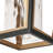 Vendramin Outdoor Hanging Lantern