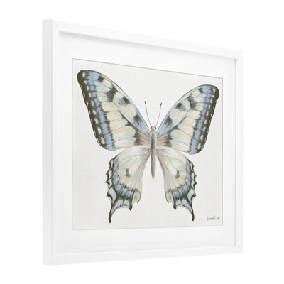 Imprimé papillon bleu et brun sous un verre, design par Danhui Nai
