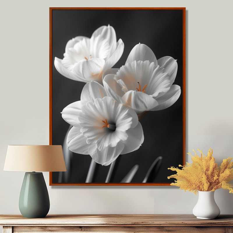 Monochromes blancs jaunes botaniques jonquilles II - jonquilles, impression d'art mural, H 34 po x l 44 po