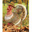 Figurine de thanksgiving tom the turquie