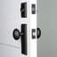 Ageless Iron Keep Plate Entry Set with Single Cylinder Deadbolt and Aeg Knob-271614793