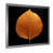Silver Single Picture Framed