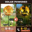 Stainless Steel Solar Powered Pathway Light Pack
