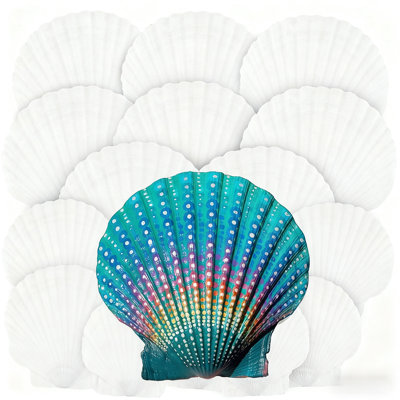 18PCS Natural Scallop Shells Bulk, 4-5 Inch Large & 2-3 Inch Medium Seashells For Beach Wedding Decor, Ocean Party Crafts Painting