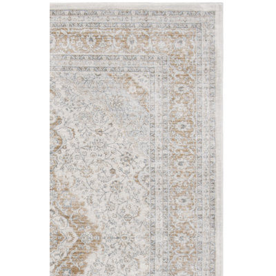 Delmer Performance Oriental Rug