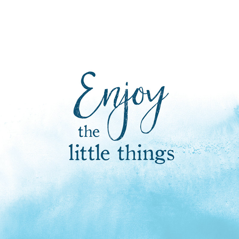 Enjoy Little Blue - Wrapped Canvas Print, 51cm H x 51cm W x 3.8cm D