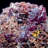 Cuprite. Tsumeb Mine.