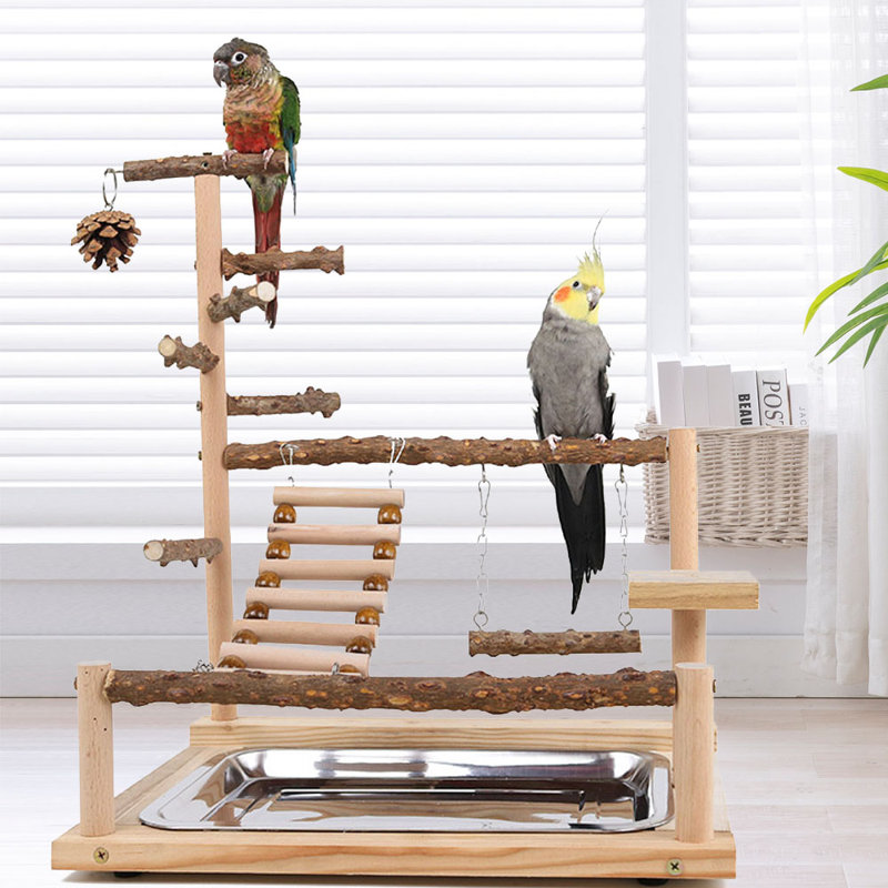 17,7 oiseaux