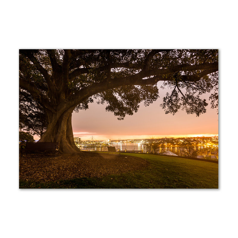 Old Tree - Wrapped Canvas Print