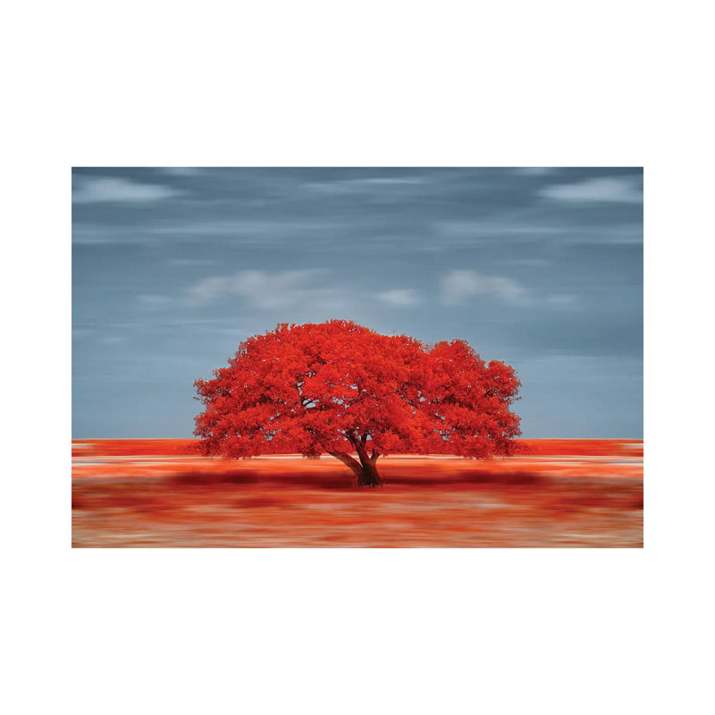 Lonely Red Tree On The Field by Glauco Meneghelli - Wrapped Canvas Print, 66.04 cm H x 45.72 cm W x 1.91 cm D