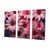Toile tendue
