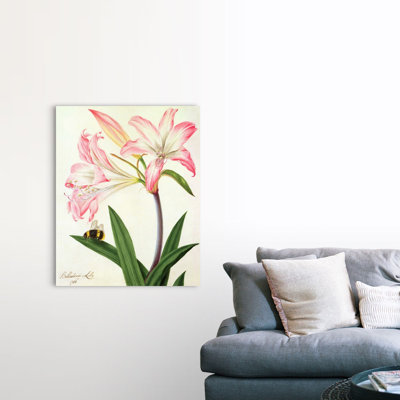«Lilium Belladonna and Bee, 1786» par Matilda Conyer, reproduction sur toile
