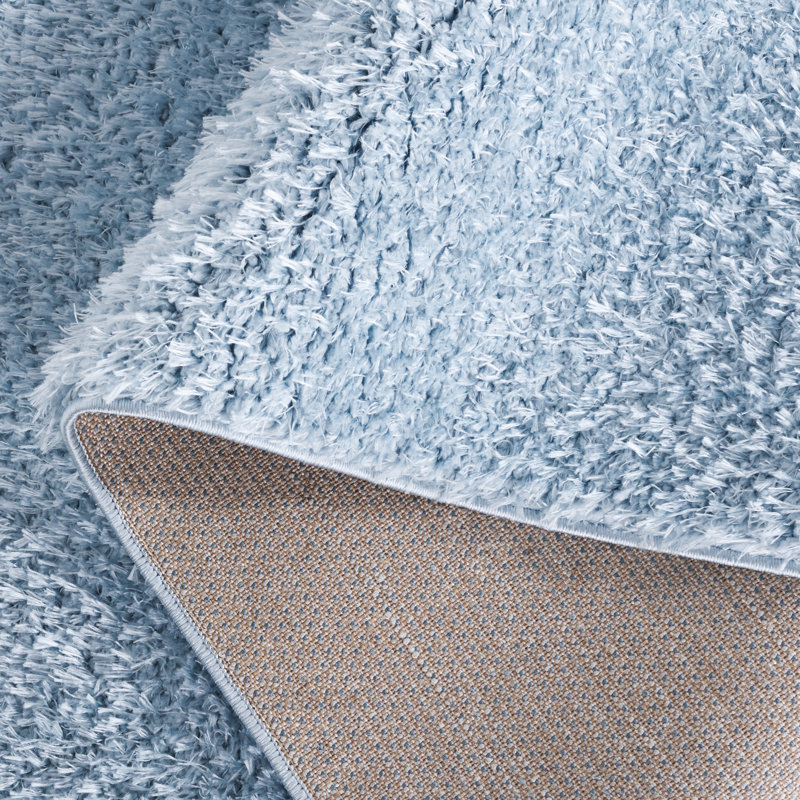 Tapis de couleur unie à poils longs Lindsay, Rectangle 3 po x 5 po, Aqua