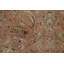 Tapis traditionnel floral 10 x 13