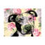 Animaux regardant les roues sur toile-240021512